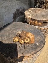 팜모닝 자유주제·사진전 게시글 이미지