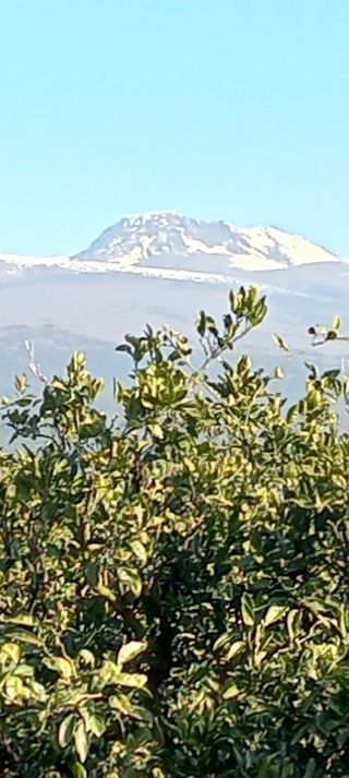 중촌님의 🌱내 작물 자랑하기! · 참여글 작성글 사진