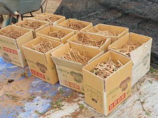 서산팔봉농원님의 자유주제 · 자유게시판 작성글 사진