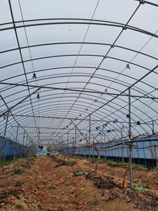 논산푸른팜님의 기타작물 · 자유게시판 작성글 사진