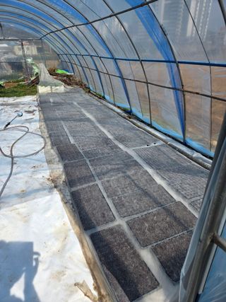 김연숙님의 🌱내 작물 자랑하기! · 참여글 작성글 사진