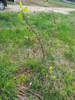 황소머리(노다지)님의 자유주제 · 자유게시판 작성글 사진
