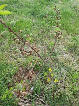 황소머리(노다지)님의 자유주제 · 자유게시판 작성글 사진