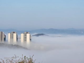 세민님의 자유주제 · 자유게시판 작성글 사진