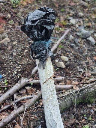 김용대님의 자유주제 · 자유게시판 작성글 사진