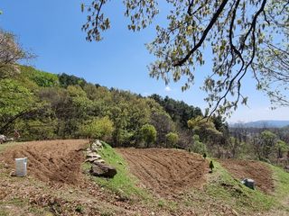 손병만님의 자유주제 · 자유게시판 작성글 사진