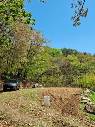 손병만님의 자유주제 · 자유게시판 작성글 사진