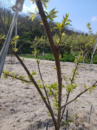 이재명님의 🌱내 작물 자랑하기! · 참여글 작성글 사진