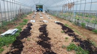 강원도 횡성군님의 자유주제 · 자유게시판 작성글 사진