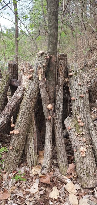 종덕이 농원님의 자유주제 · 사진전 작성글 사진