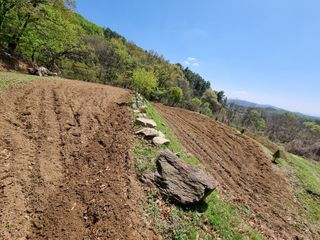 손병만님의 자유주제 · 자유게시판 작성글 사진