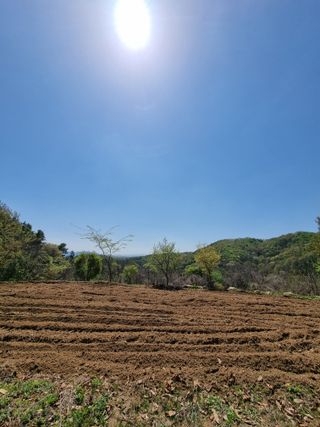 손병만님의 자유주제 · 자유게시판 작성글 사진