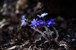 김상진님의 자유주제 · 자유게시판 작성글 사진