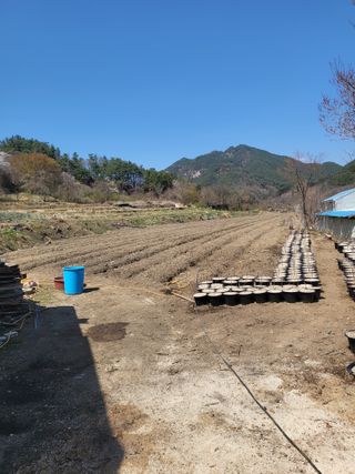 민초피 농원님의 🌱내 작물 자랑하기! · 참여글 작성글 사진