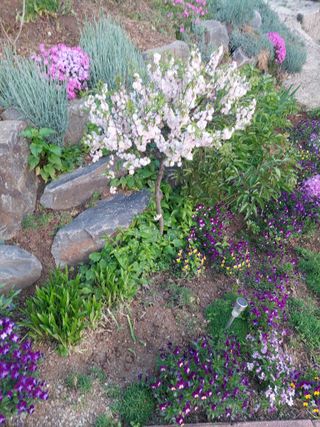 재연농장님의 자유주제 · 자유게시판 작성글 사진