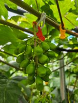 팜모닝 자유주제·자유게시판 게시글 이미지