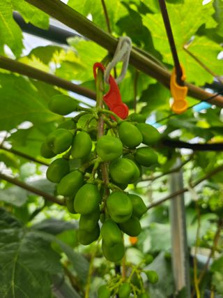 손현순님의 자유주제 · 자유게시판 작성글 사진