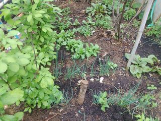 이현상홍길동건강즙님의 자유주제 · 자유게시판 작성글 사진