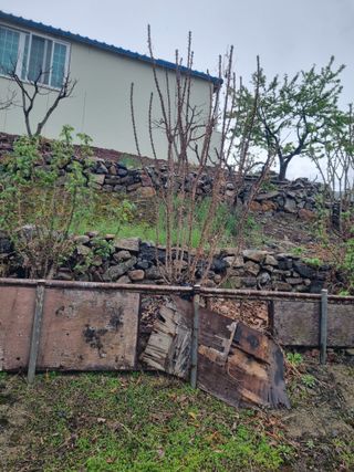 김용대님의 자유주제 · 자유게시판 작성글 사진