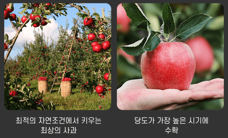 스피드번님의 장터 판매 상품 [경북 부사사과 (실속형)] 첨부 사진