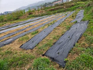 장문업 님의 🌱내 작물 자랑하기! · 참여글 작성글 사진