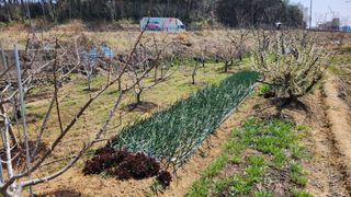 정철환님의 🌱내 작물 자랑하기! · 참여글 작성글 사진