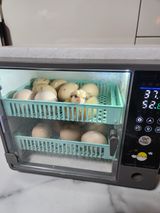 팜모닝 자유주제·자유게시판 게시글 이미지