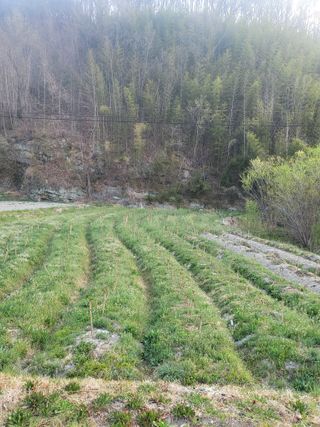 민초피 농원님의 🌱내 작물 자랑하기! · 참여글 작성글 사진