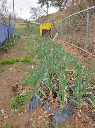 박상현님의 자유주제 · 자유게시판 작성글 사진