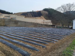 이연화님의 자유주제 · 자유게시판 작성글 사진