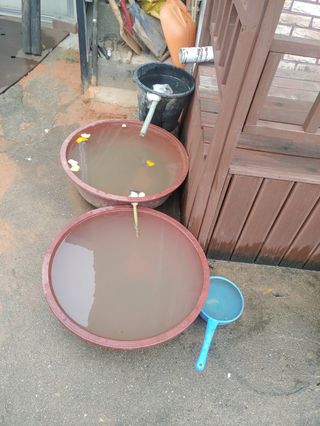 이현상홍길동건강즙님의 자유주제 · 자유게시판 작성글 사진