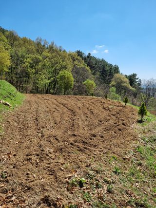 손병만님의 자유주제 · 자유게시판 작성글 사진