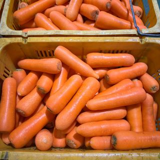 김훈님의 작성글 사진