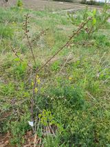 팜모닝 자유주제·자유게시판 게시글 이미지