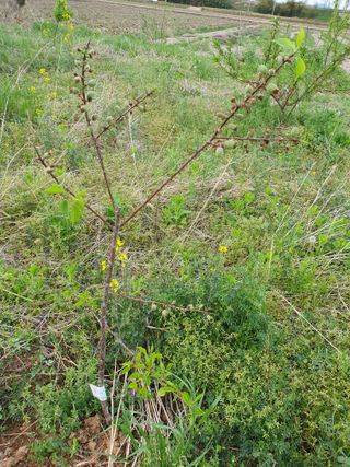 황소머리(노다지)님의 자유주제 · 자유게시판 작성글 사진