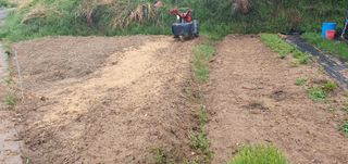 김영진님의 🌱내 작물 자랑하기! · 참여글 작성글 사진