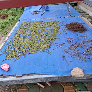 오영도님의 자유주제 · 자유게시판 작성글 사진