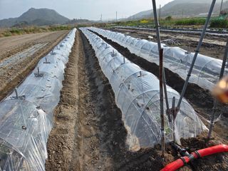 정연순님의 자유주제 · 자유게시판 작성글 사진