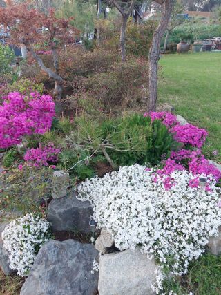 재연농장님의 자유주제 · 자유게시판 작성글 사진