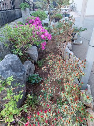 재연농장님의 자유주제 · 자유게시판 작성글 사진