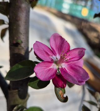 담디농원님의 자유주제 · 자유게시판 작성글 사진