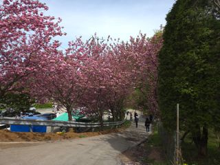 제주농부님의 🌱내 작물 자랑하기! · 참여글 작성글 사진