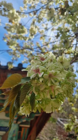 이병성님의 자유주제 · 사진전 작성글 사진
