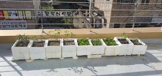 오늘도행복님의 자유주제 · 자유게시판 작성글 사진