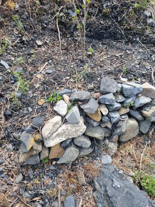 김용대님의 자유주제 · 자유게시판 작성글 사진