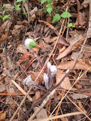 초보굴백이님의 자유주제 · 자유게시판 작성글 사진