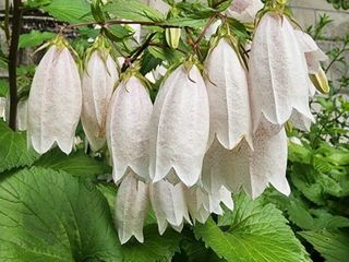 배영이님의 작성글 사진