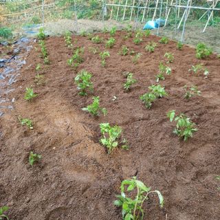 이장우님의 자유주제 · 자유게시판 작성글 사진