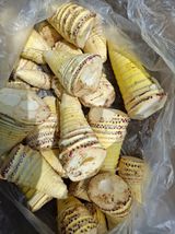 팜모닝 · 게시글 이미지