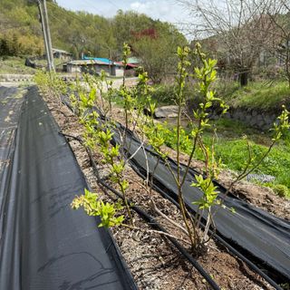 충남싸나이님의 자유주제 · 자유게시판 작성글 사진